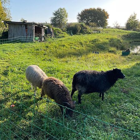 Ferienhaus Raabe Splietsdorf Bagian luar foto
